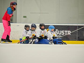 Obrázek z alba Týden hokeje ve Skutči leden 2026