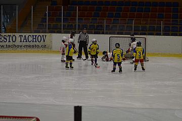 Obrázek z alba CHODOVAR CUP 2023