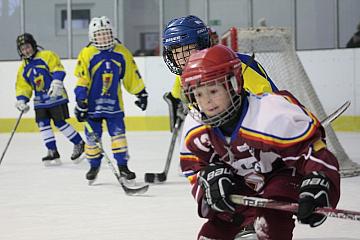 Obrázek z alba Turnaj minihokejisté 2012