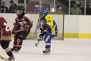 Obrázek z alba Turnaj minihokejisté 2012