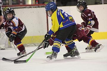 Obrázek z alba Turnaj minihokejisté 2012