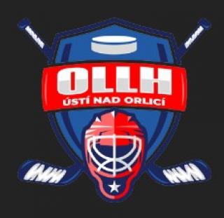 SVAZ LEDNÍHO HOKEJE Obrazek ke clanku